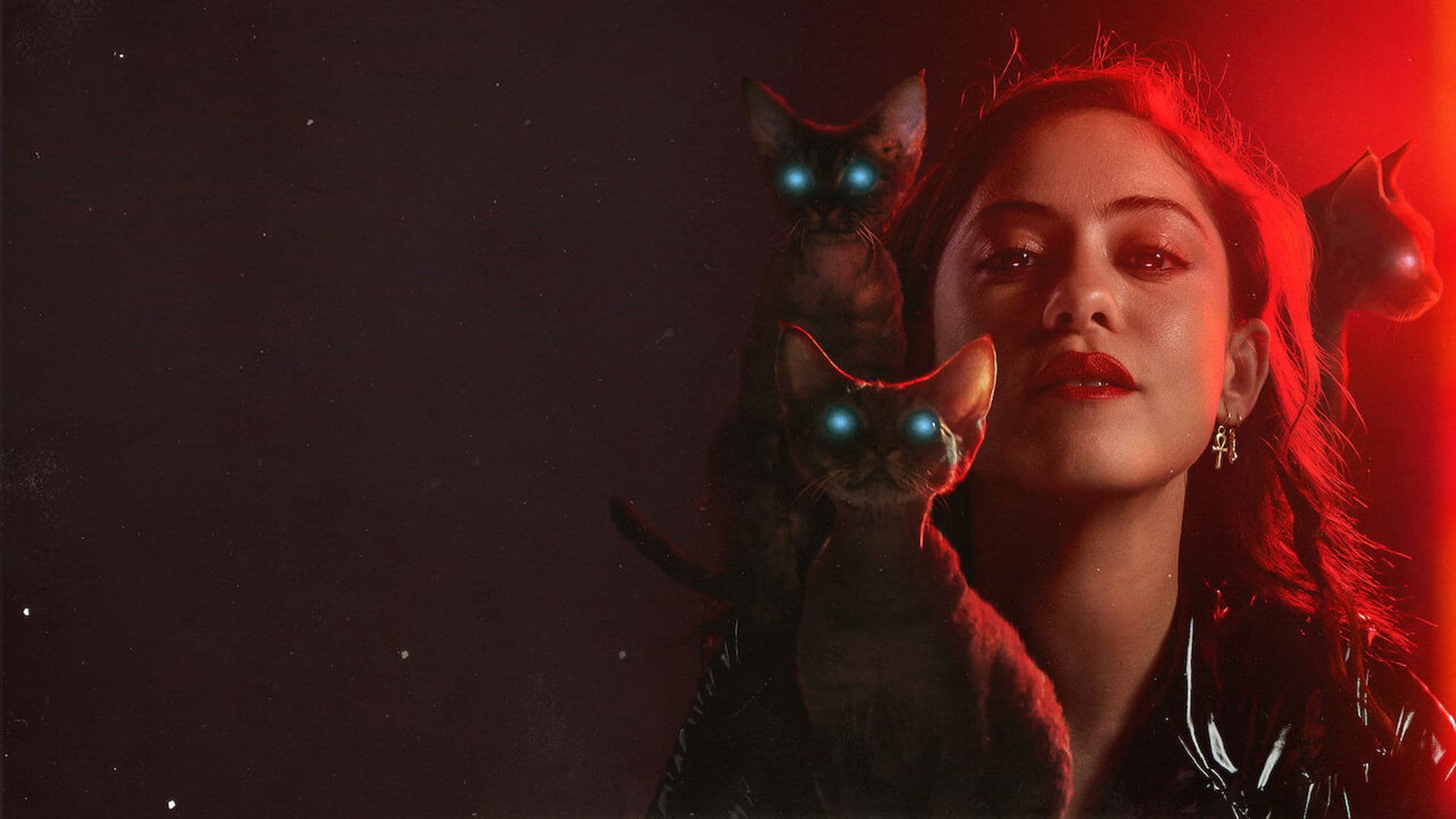 브랜드 뉴 체리 플레이버