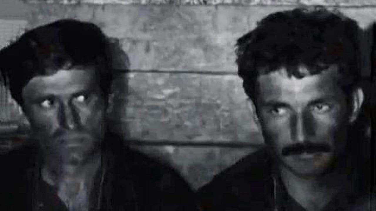 Қиссаи зиндони Павиак