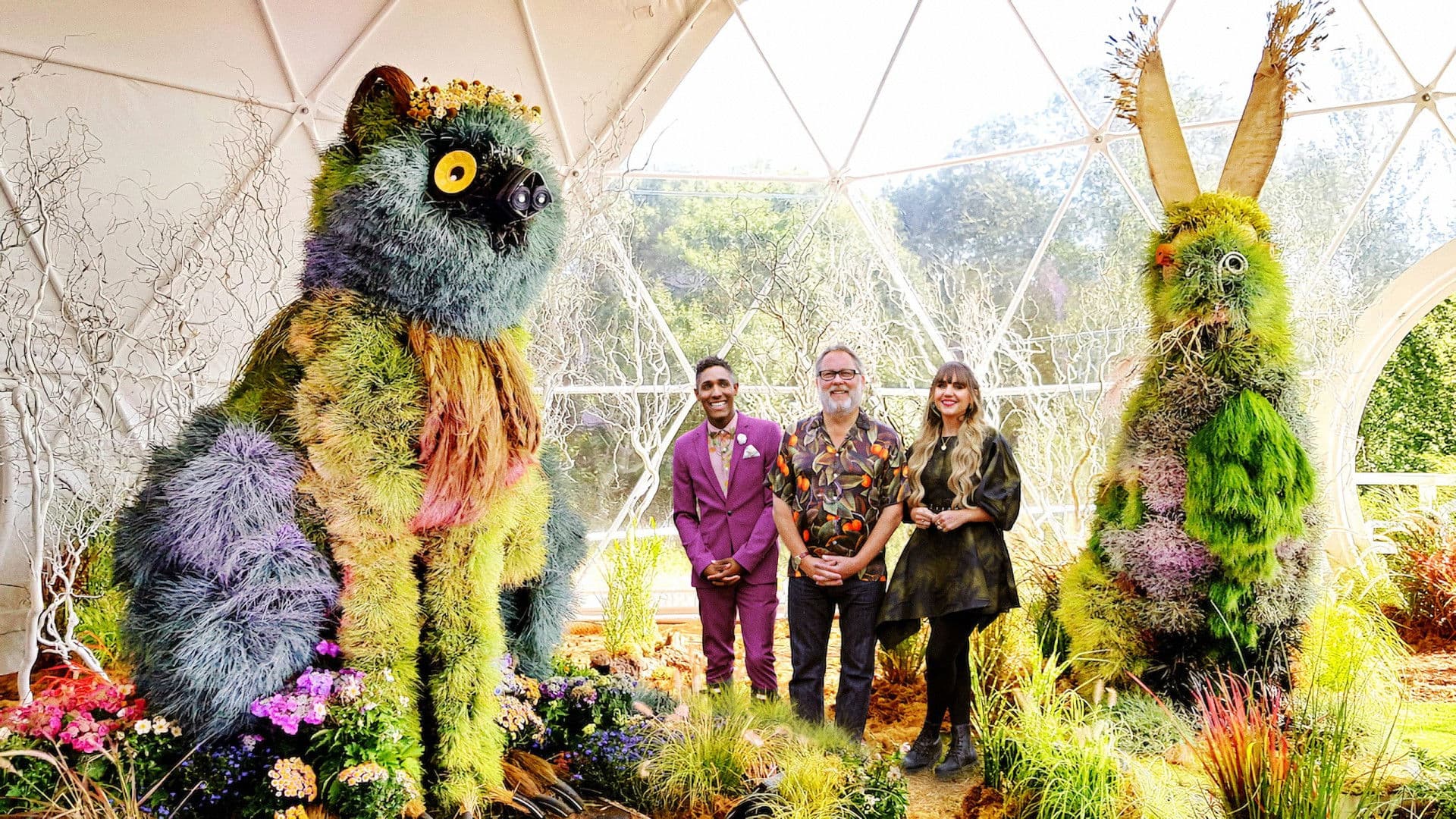 도전! 꽃들의 전쟁