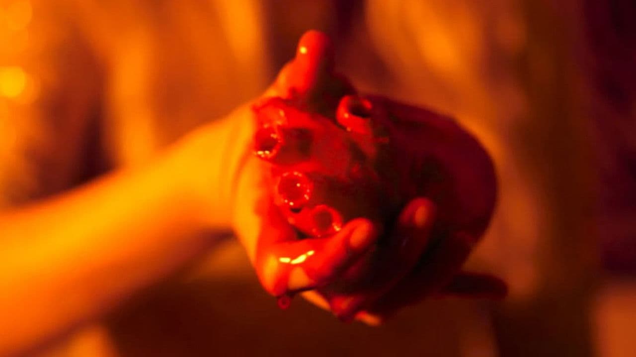 Navidades sin corazón