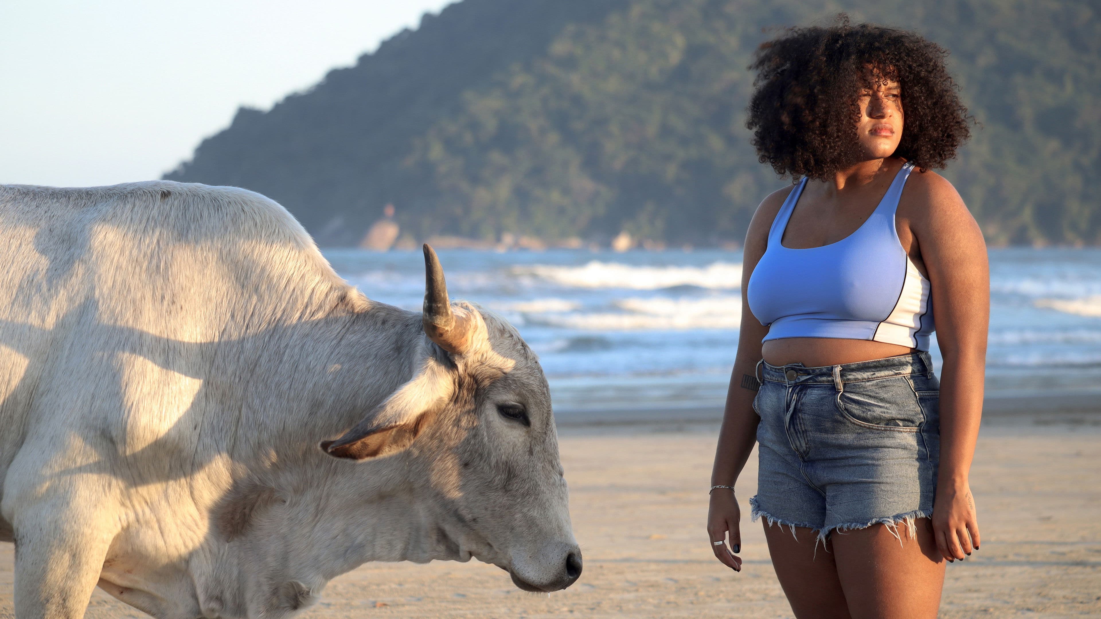 더 쉘 커버드 옥스