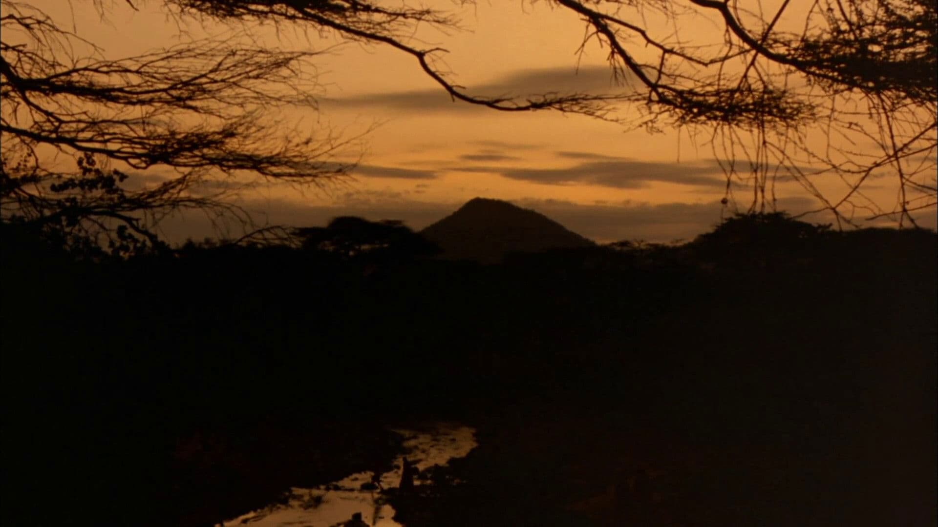 아프리카의 열풍