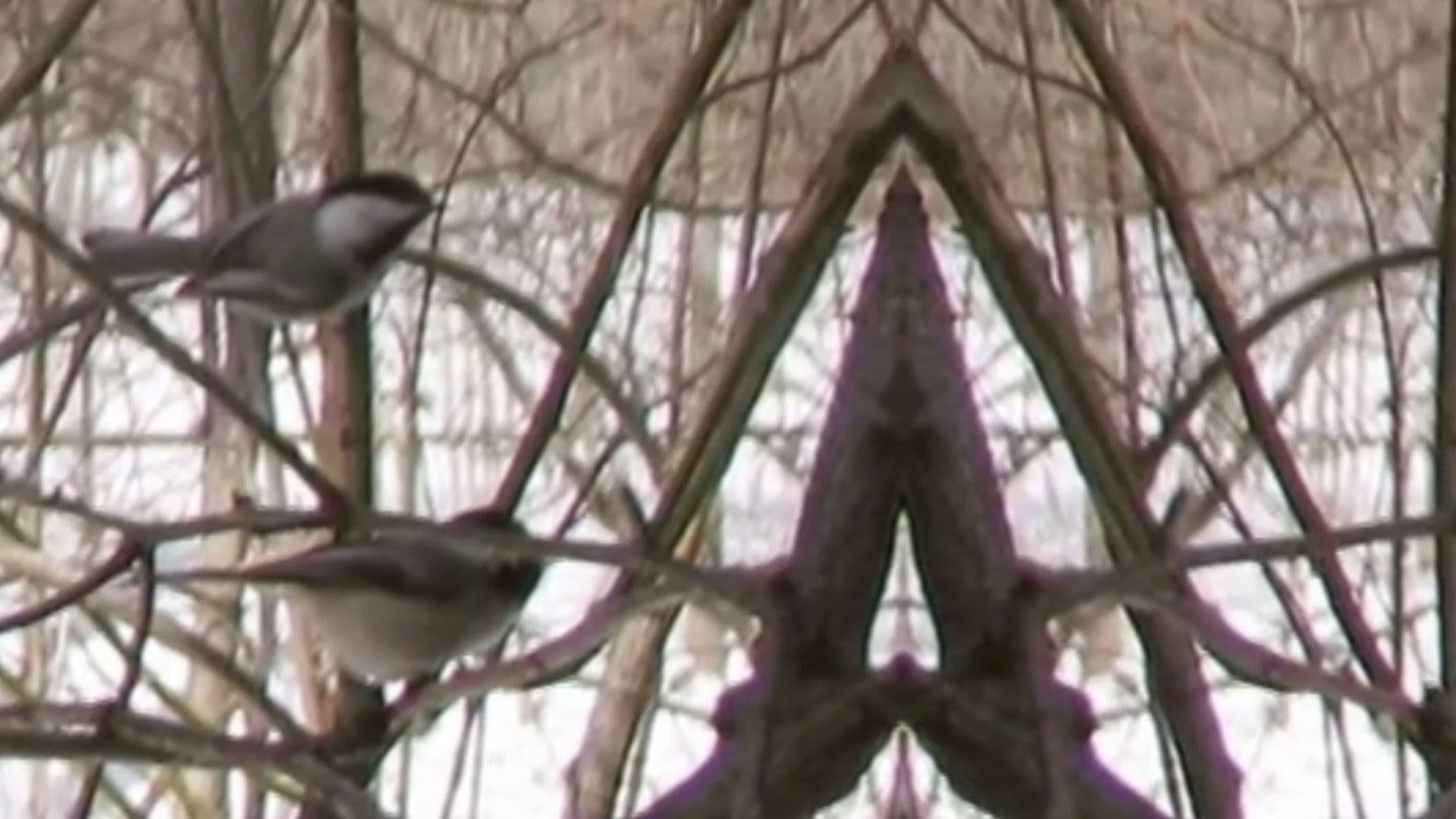 Songs of Praise for the Heart Beyond Cure