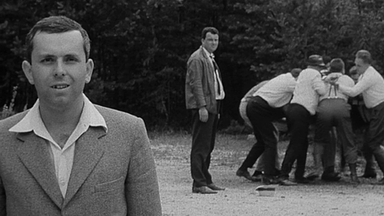 파티와 손님들(에 관한 보고서)