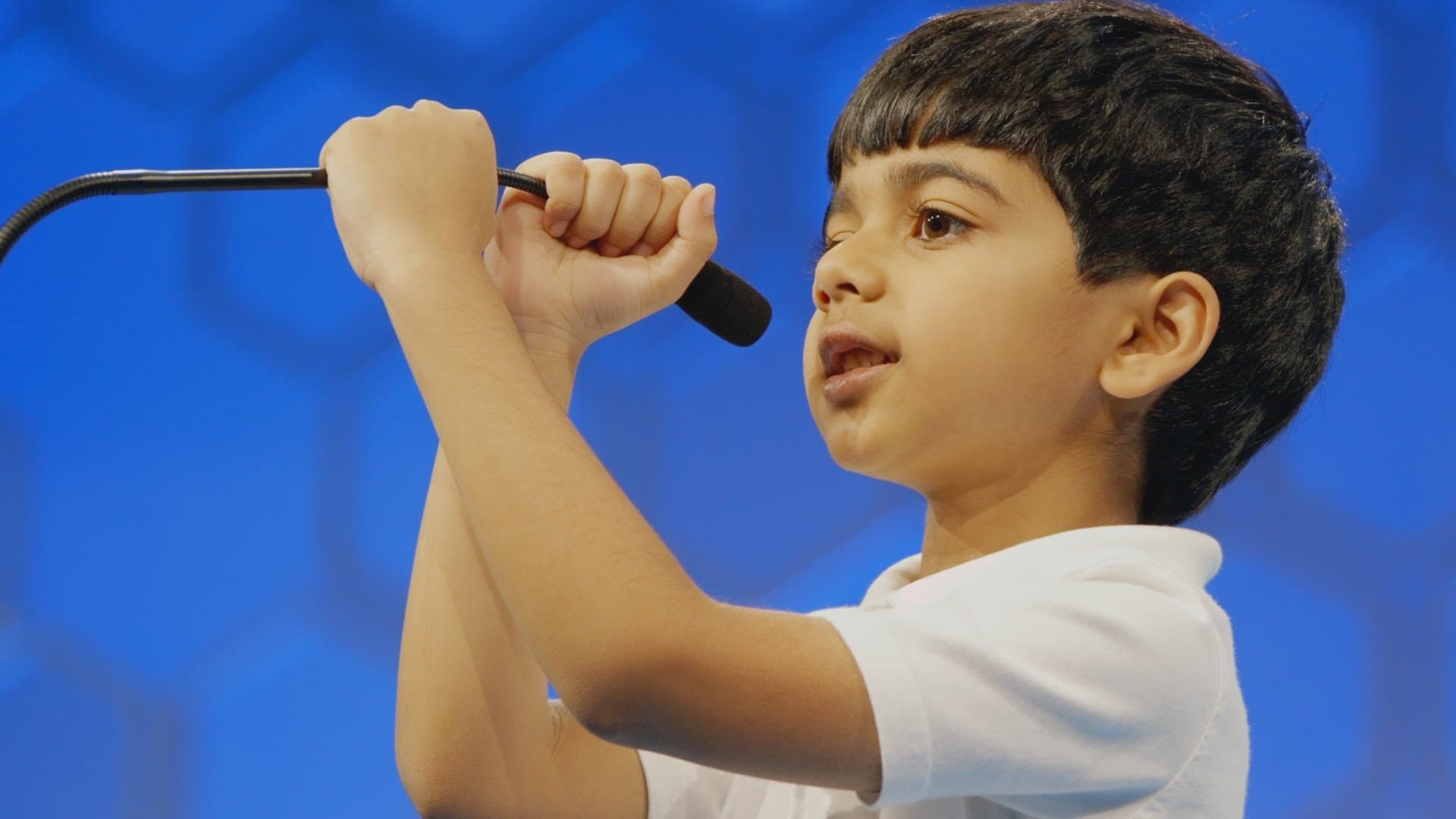 스펠링 챔피언을 향하여