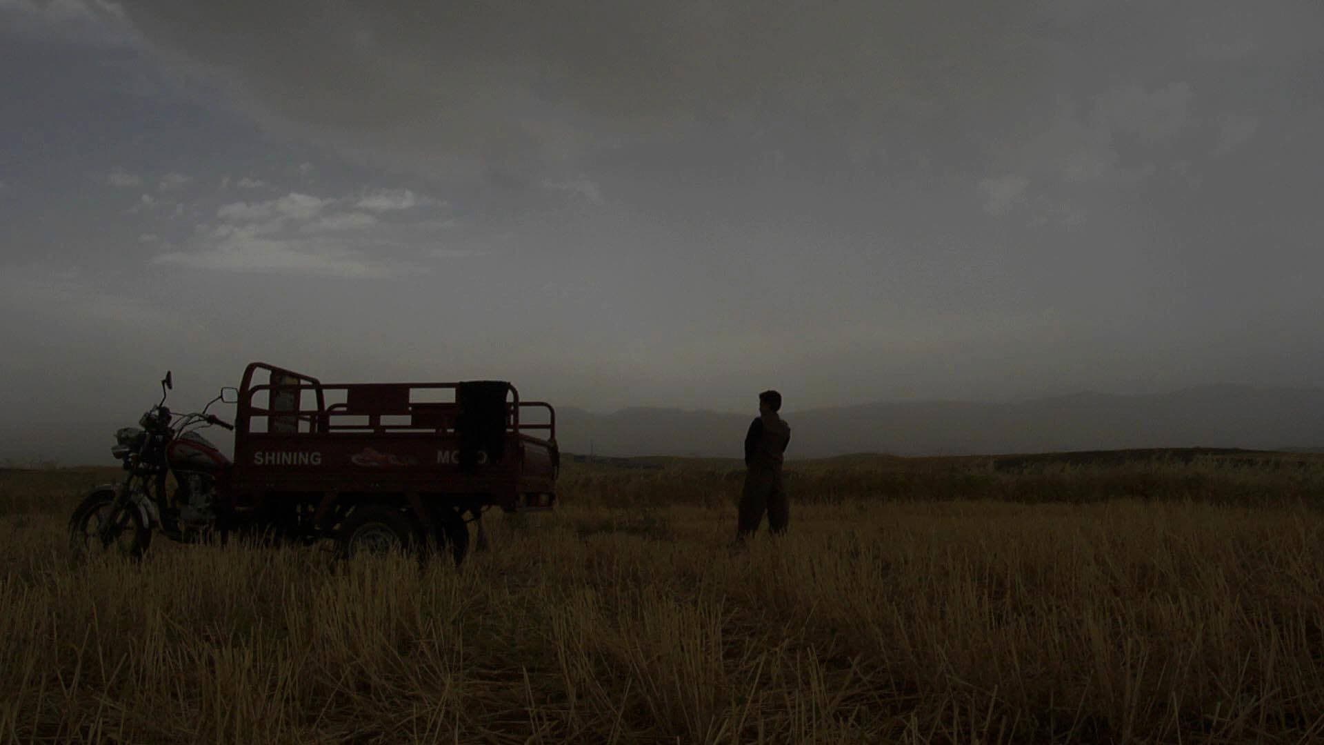 دەمەوێ بژیم