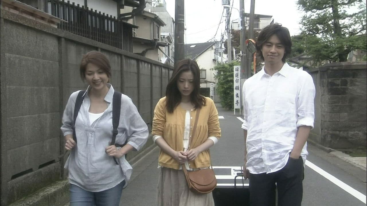 언젠가 태양이 비추는 곳에