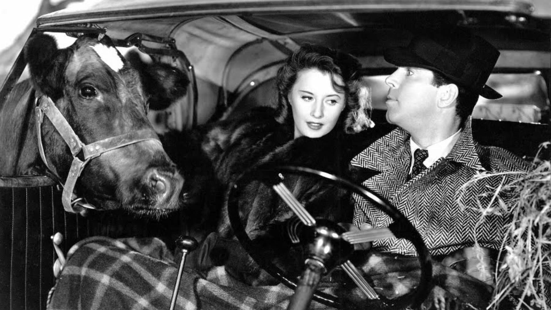 그 밤을 기억하라