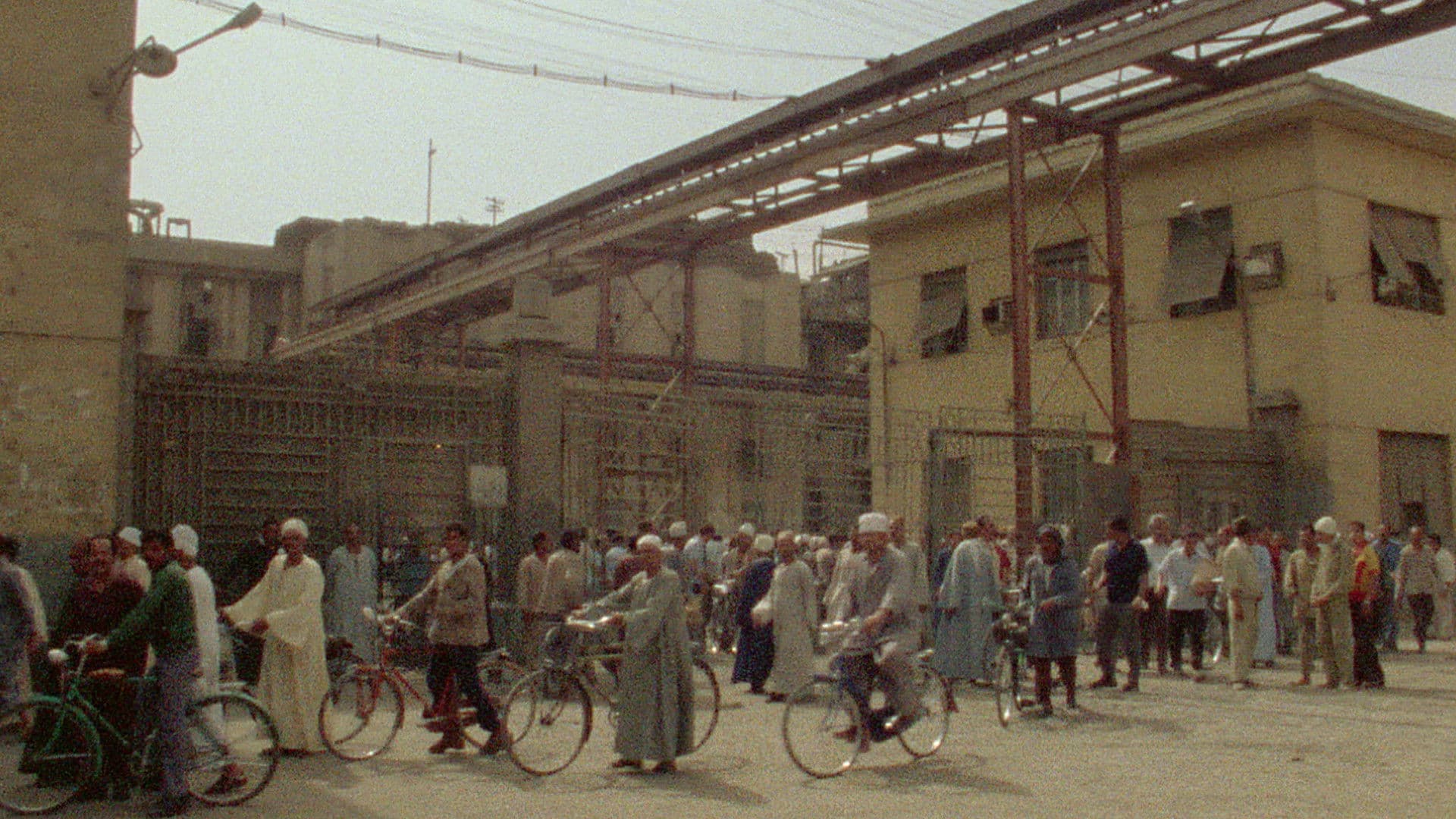 너무 이른, 너무 늦은