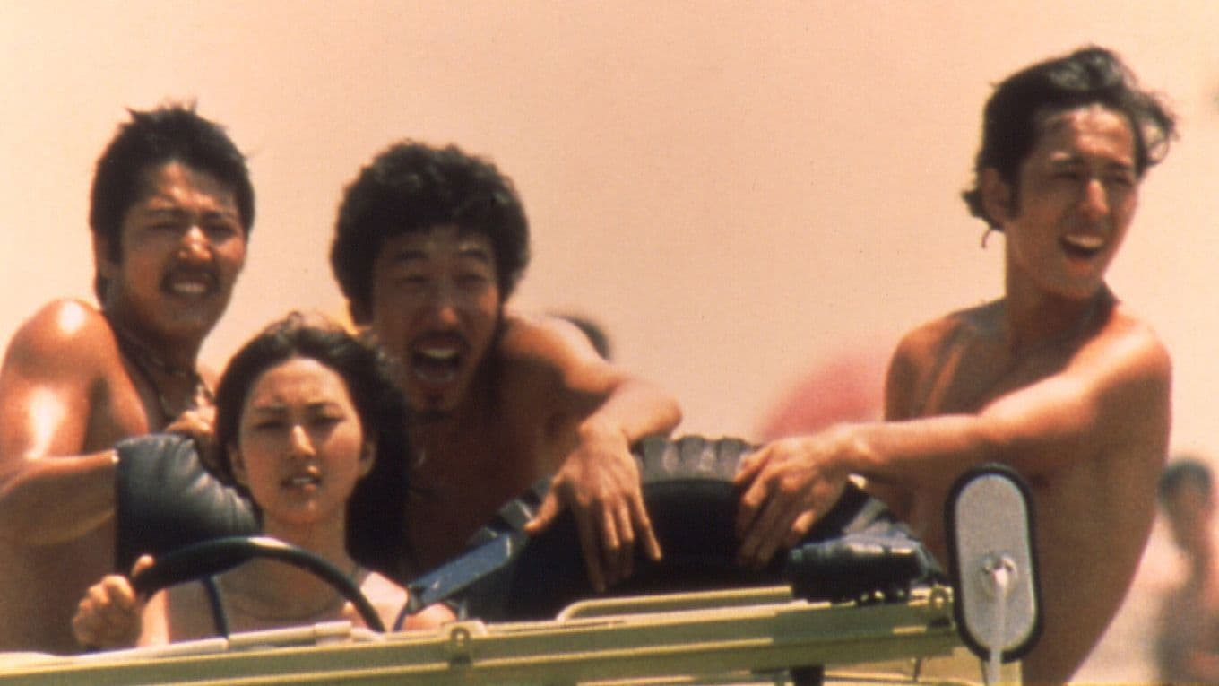 野良猫ロック　ワイルドジャンボ