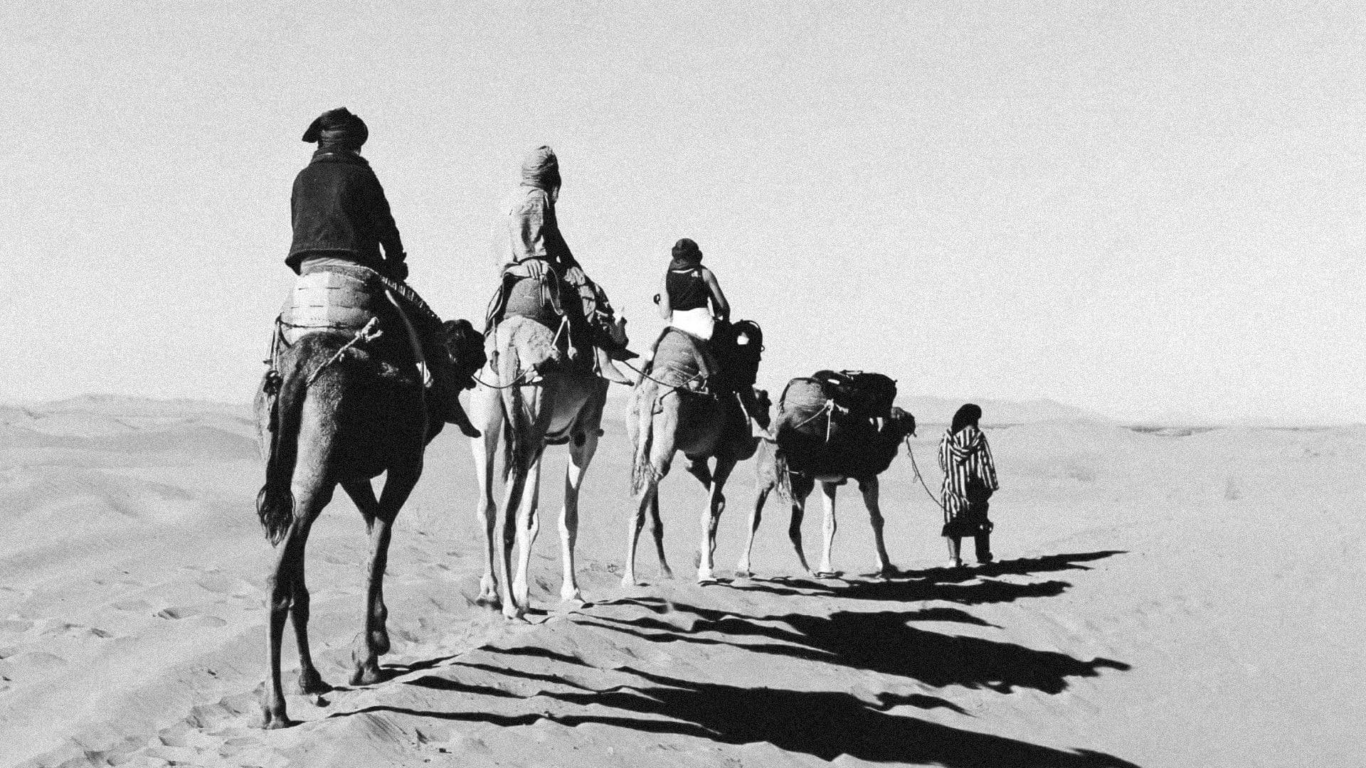 بناديق الحورية (Banâdiq El-Houria )