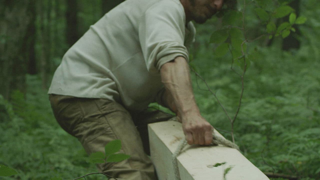 메이저 아르카나