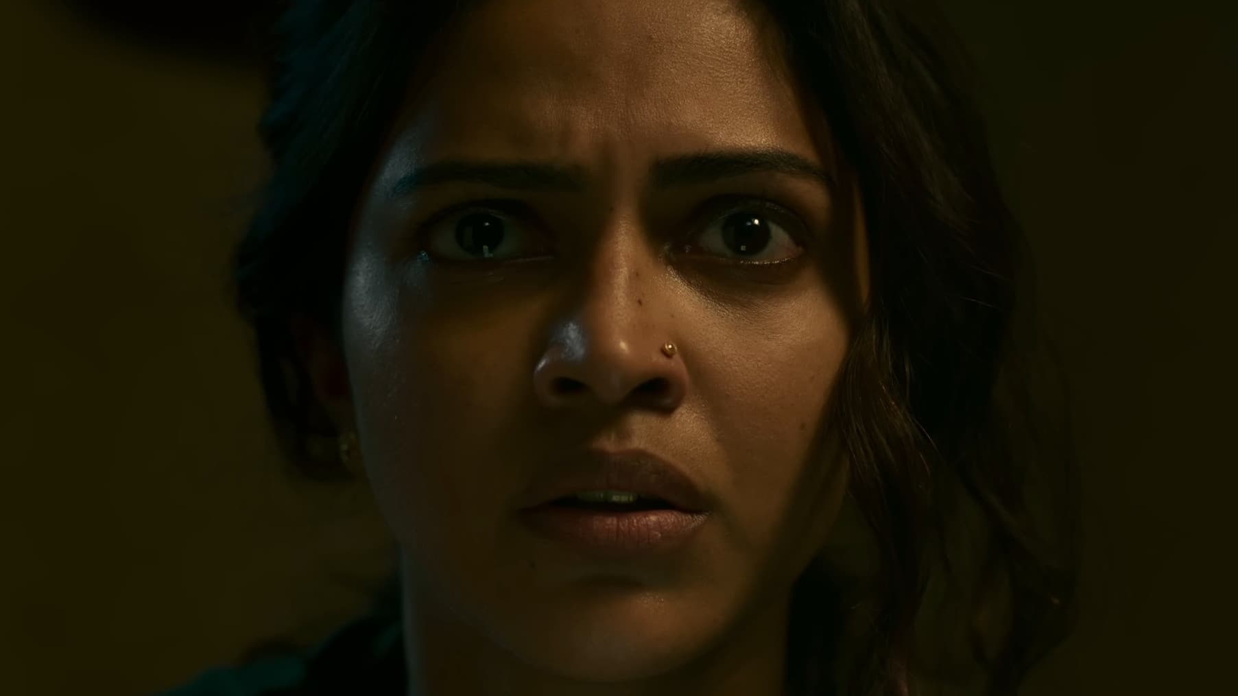 ദി ടീച്ചര്‍