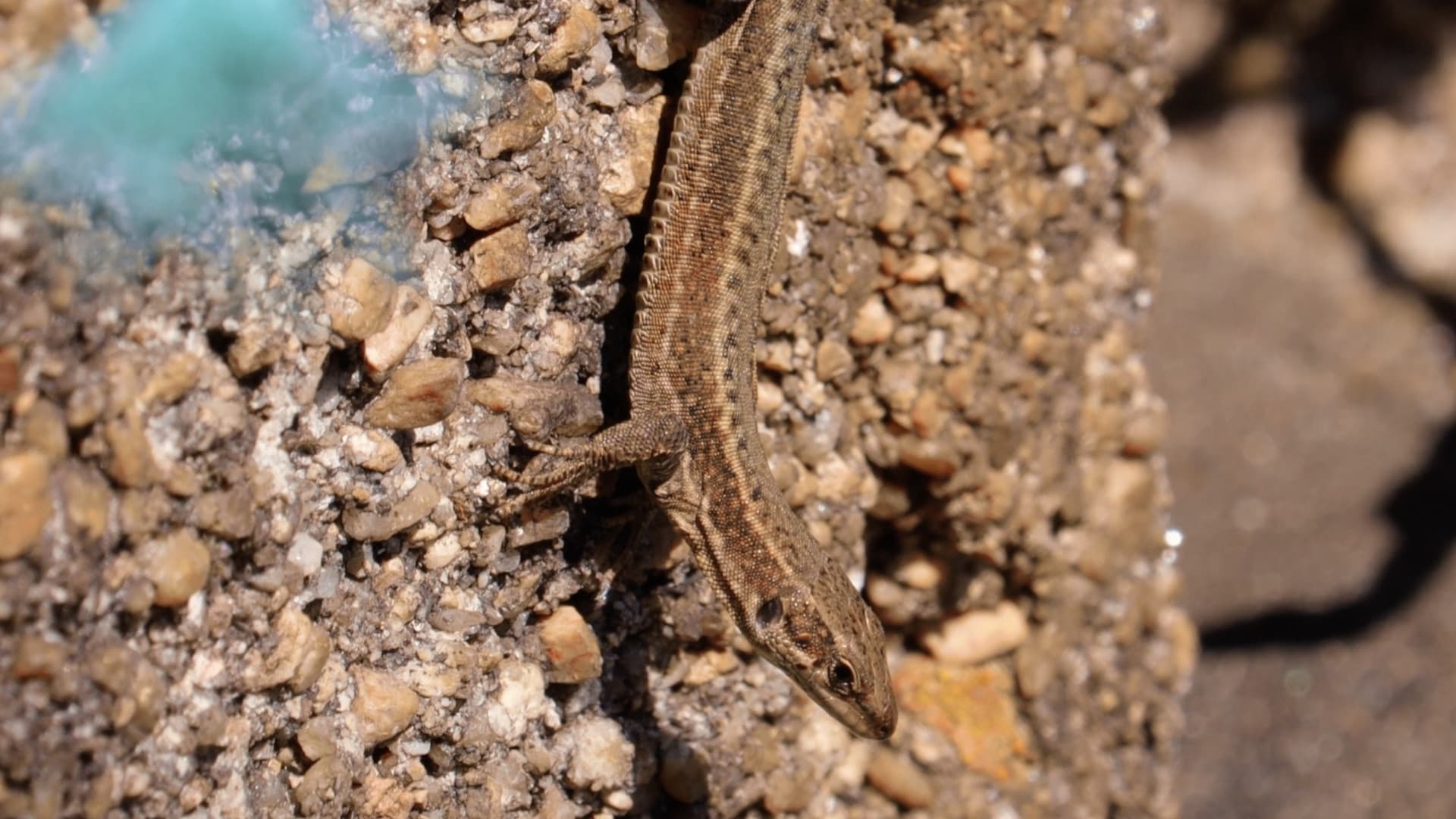 Unha illa no medio do mar