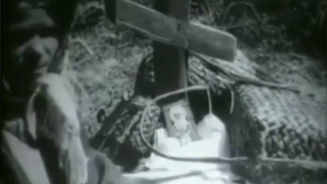 В брянском полесье