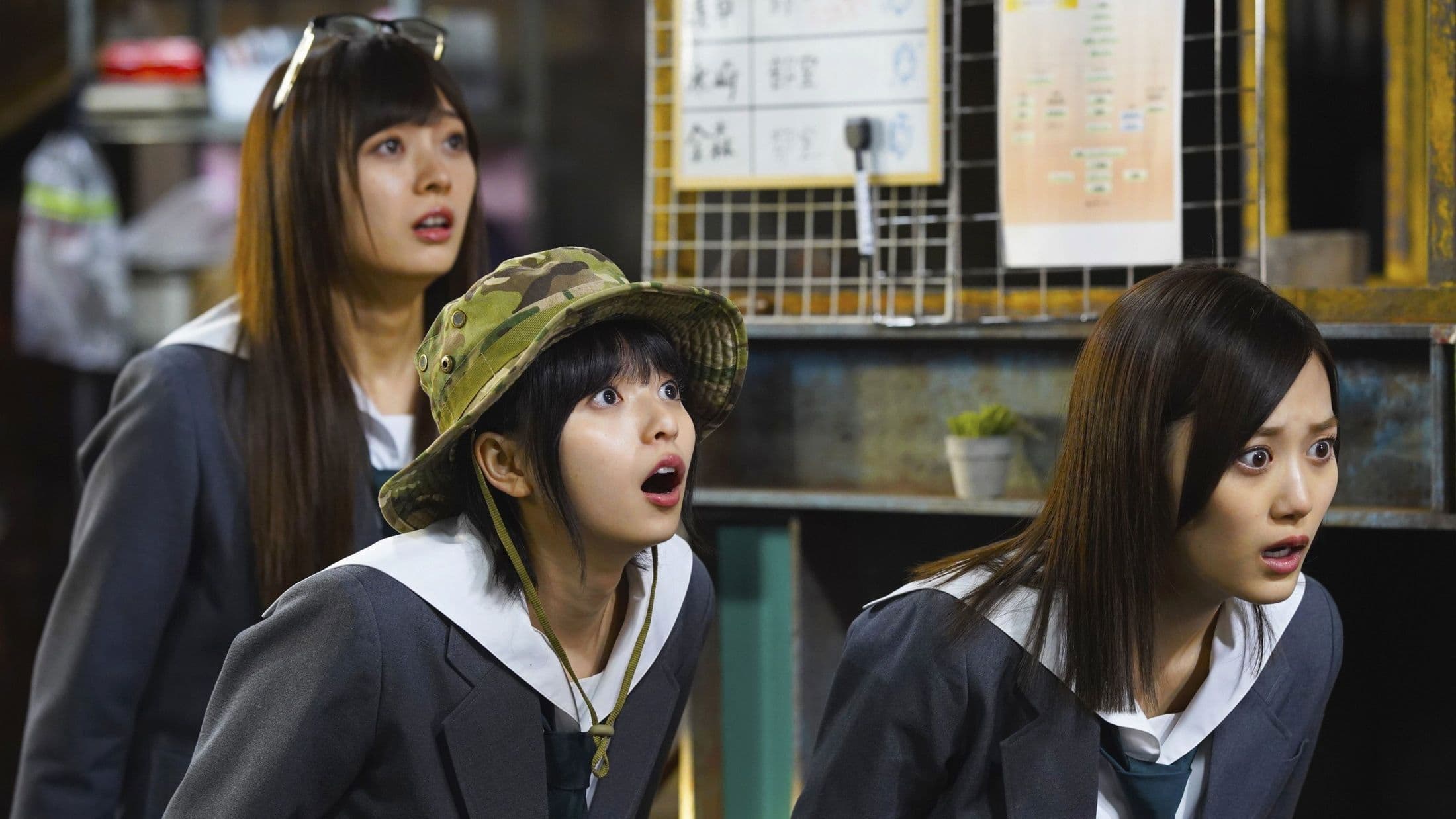 영상연에는 손대지 마!