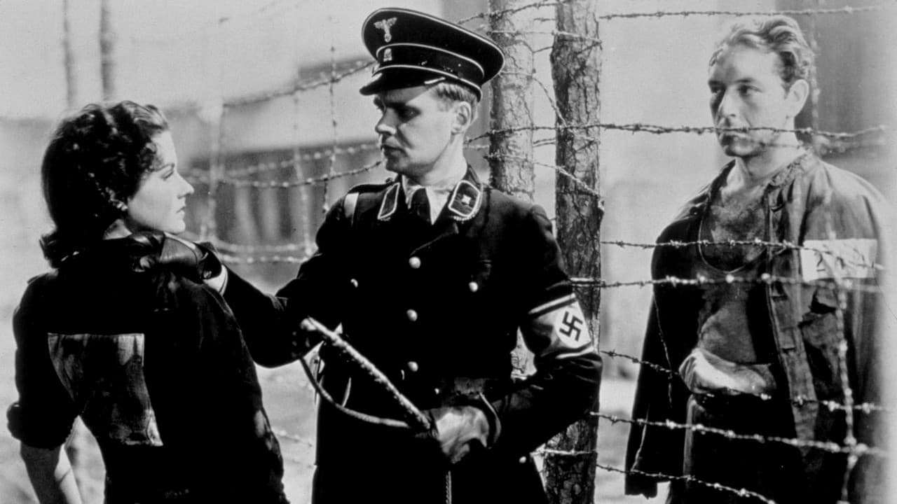 뮌헨행 야간열차