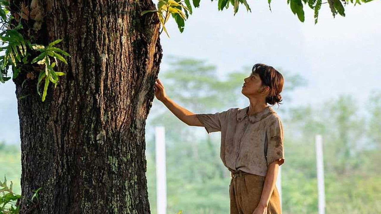 망고나무 아래에서 ~루손섬, 전쟁의 약속~
