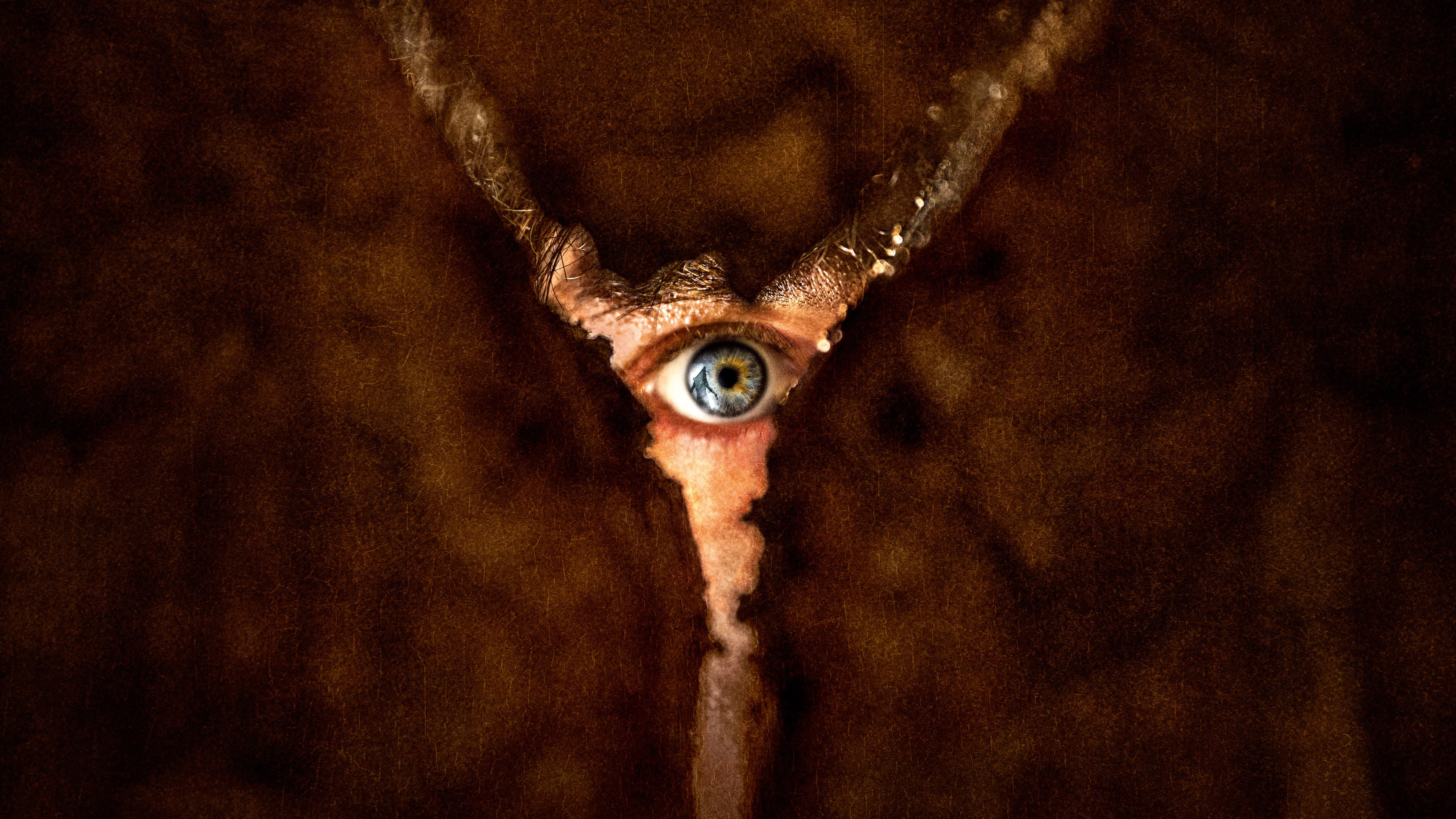 리턴 투 사일런트 힐