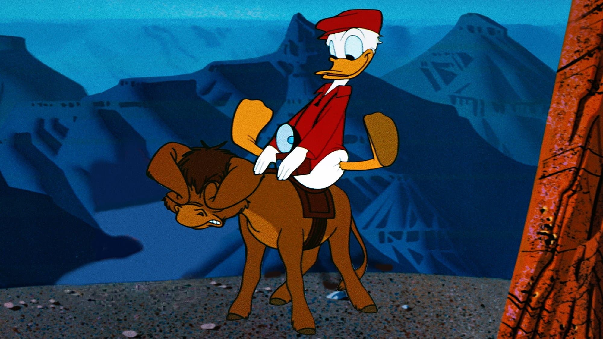 그랜드 캐니언에 갔어요