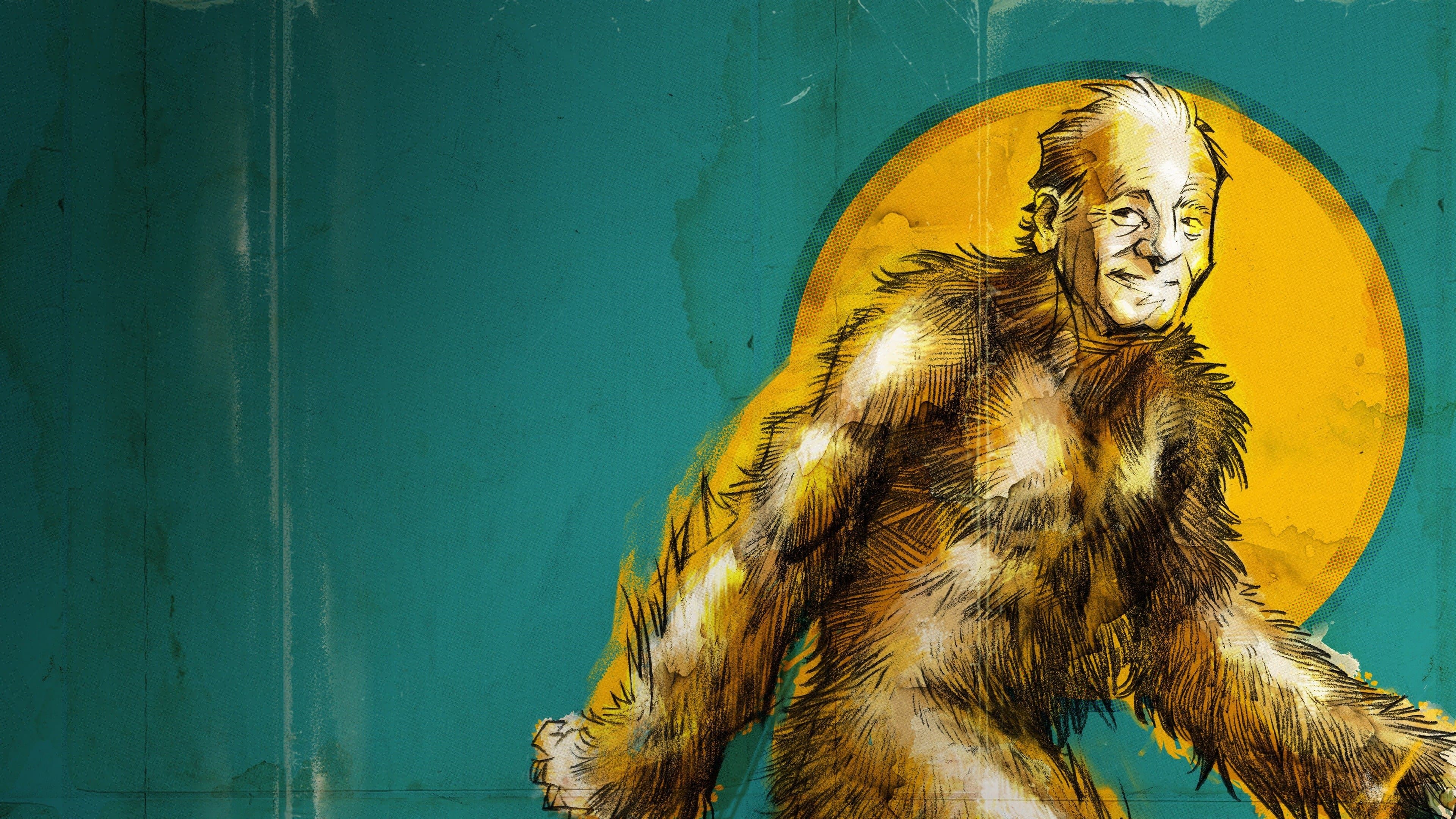 빌 머레이 스토리스: 라이프 레슨스 런드 프럼 어 미시컬 맨