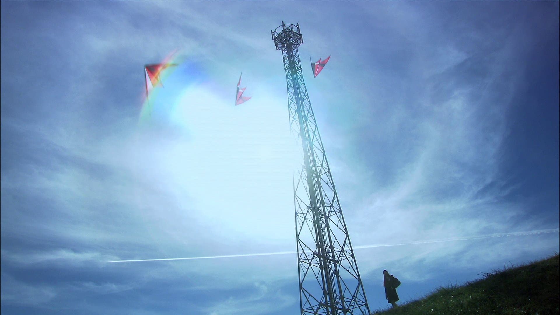 릴리 슈슈의 모든 것