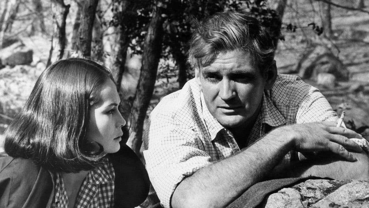 페이트 이즈 더 헌터