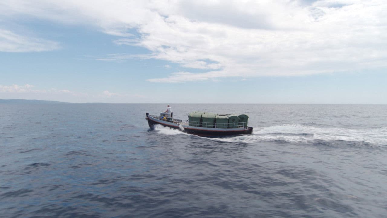 아름다운 쓰레기 여행