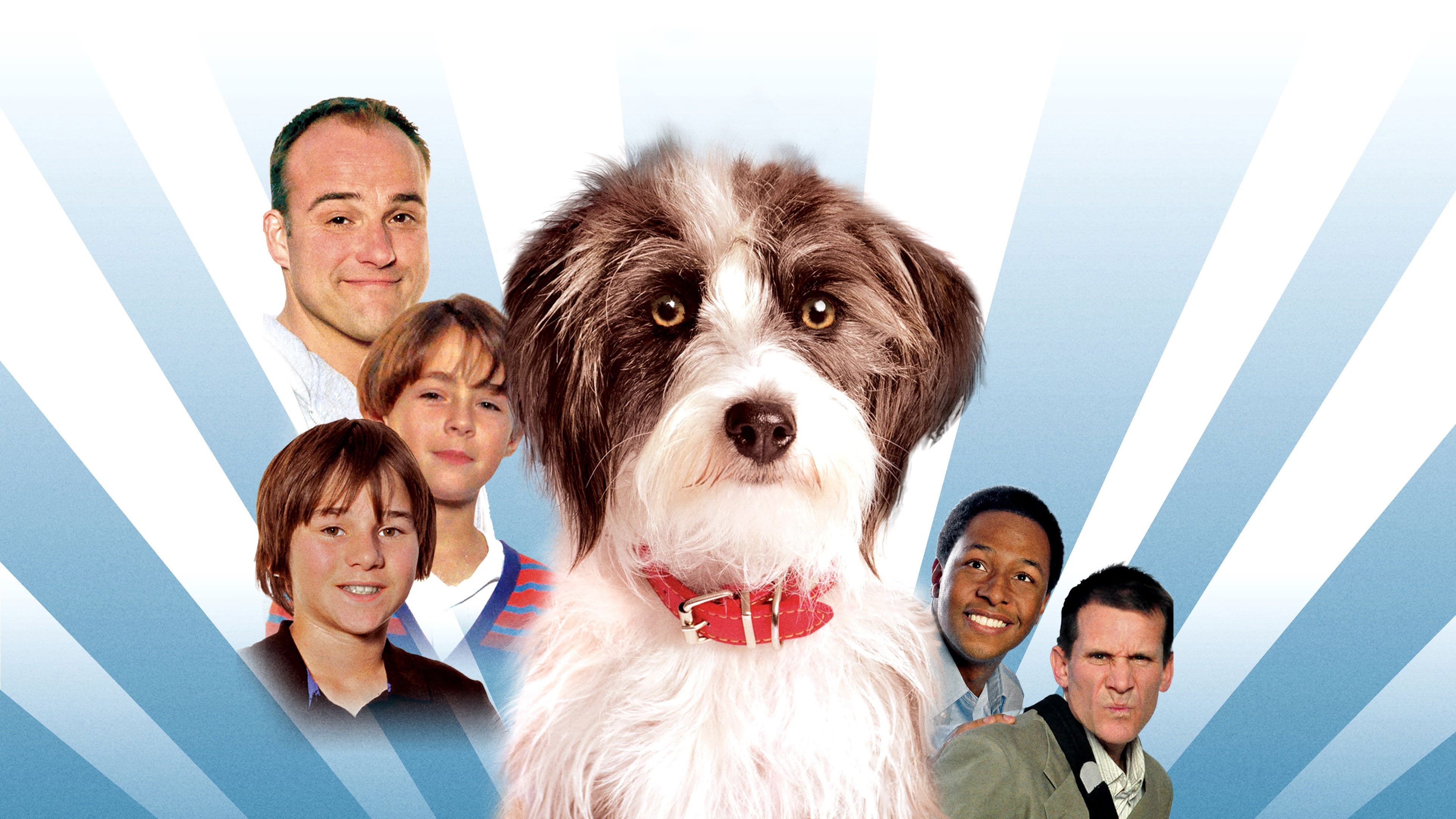 보스턴 레드삭스