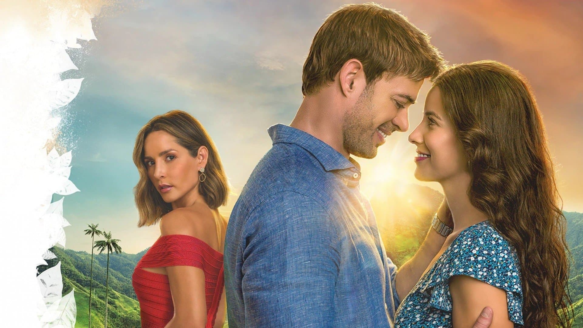 커피와 여인의 향기