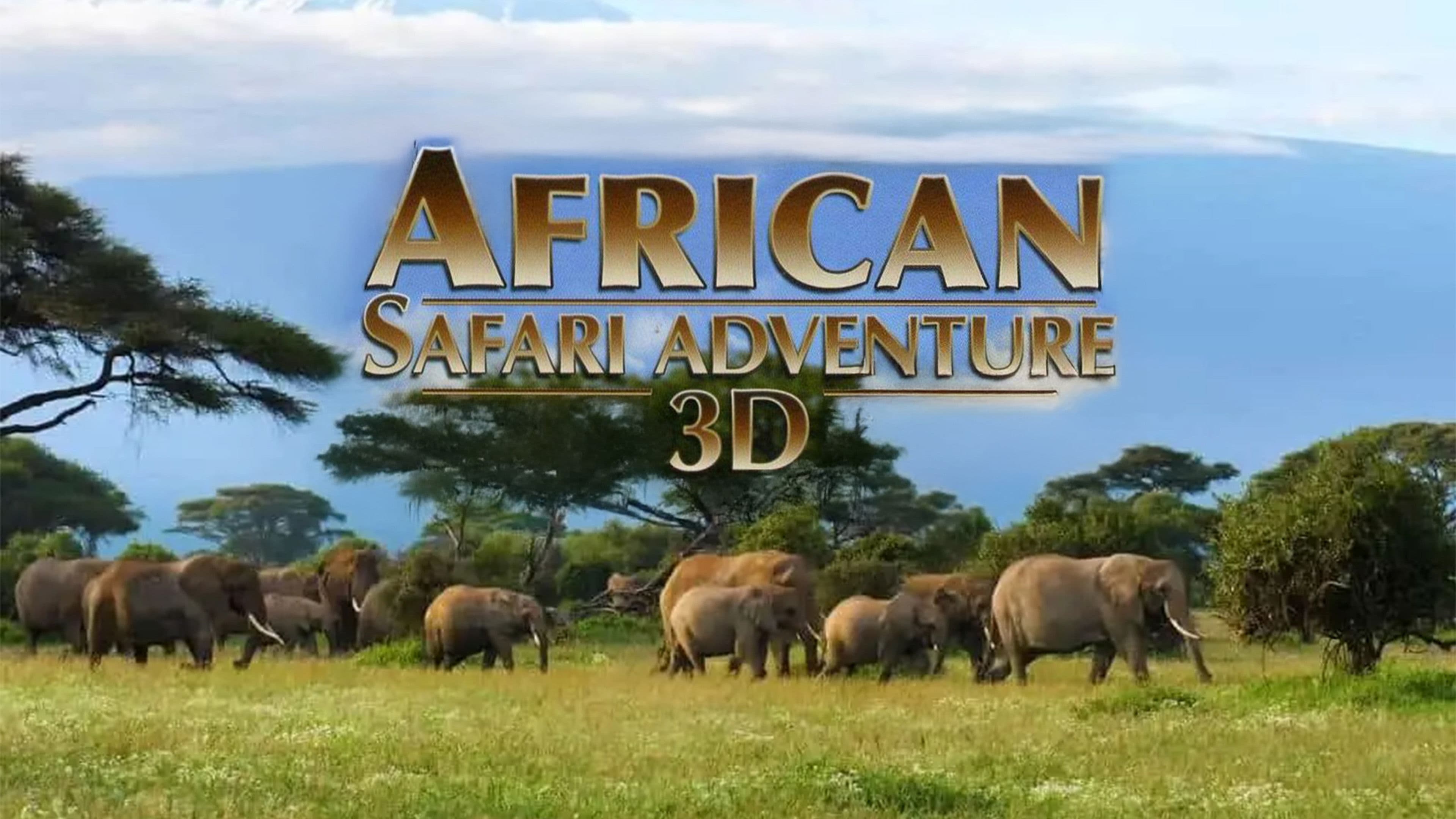 African Safari Adventure