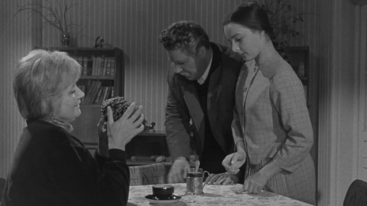 Жизнь сначала