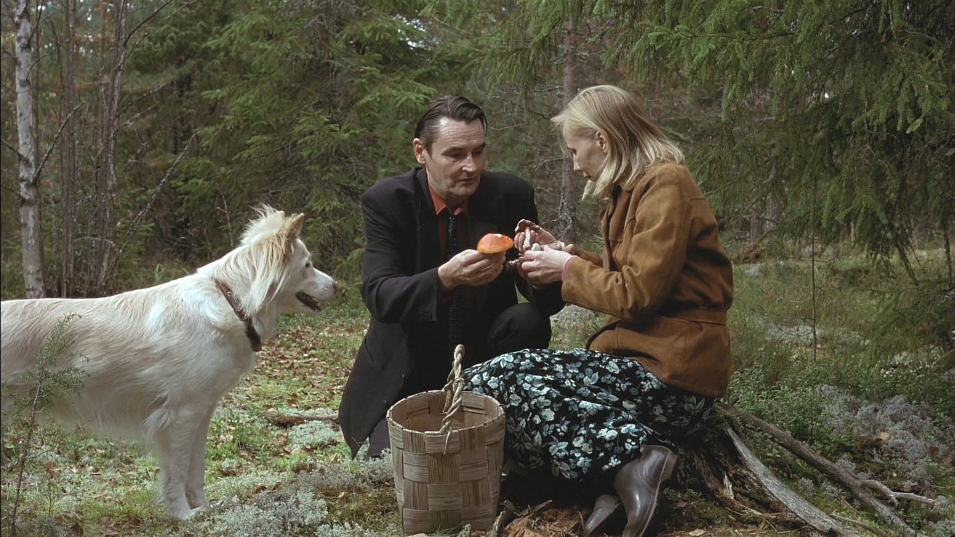 과거가 없는 남자