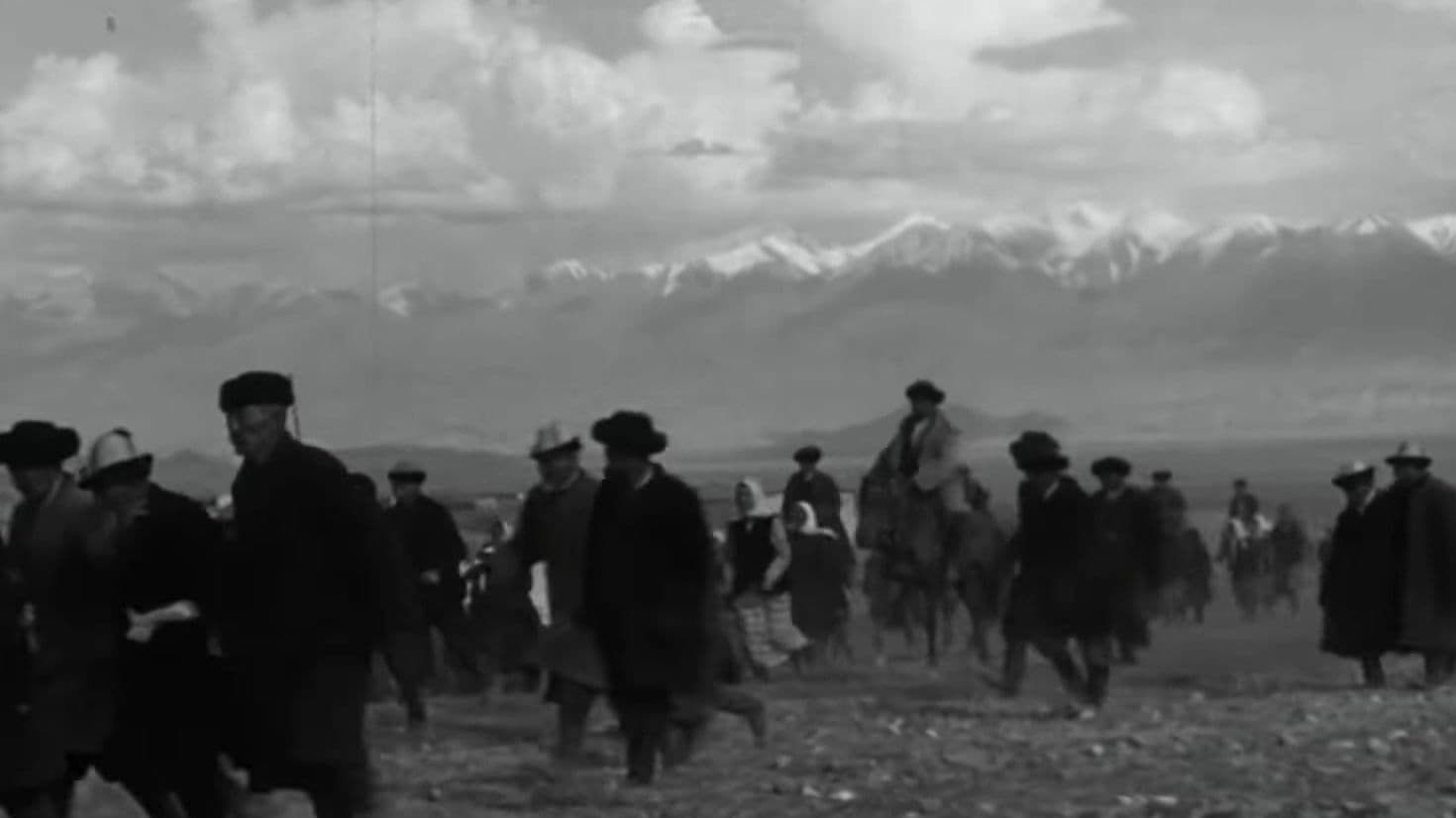 Материнское поле