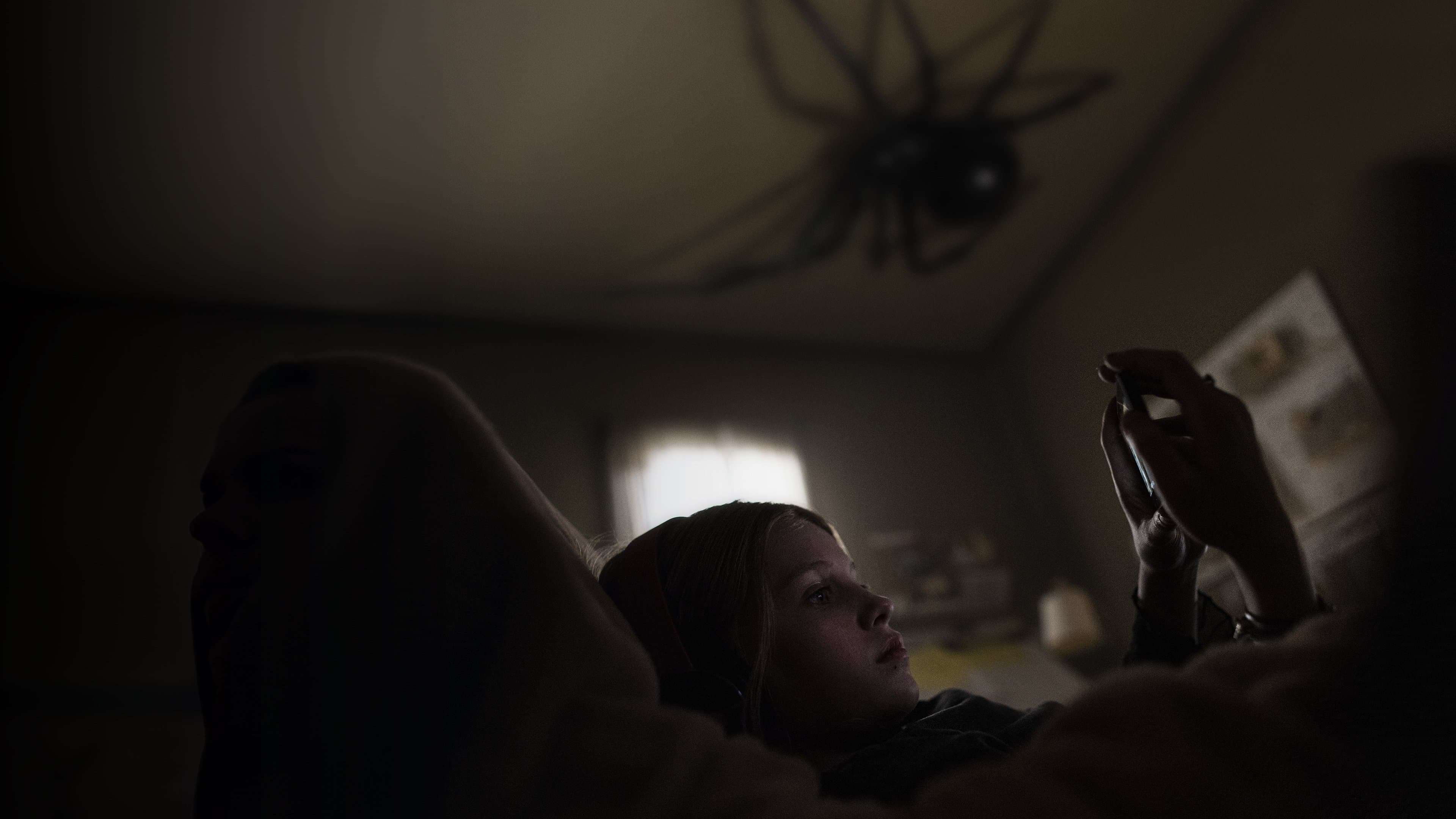 스팅: 외계거미의 지구침략