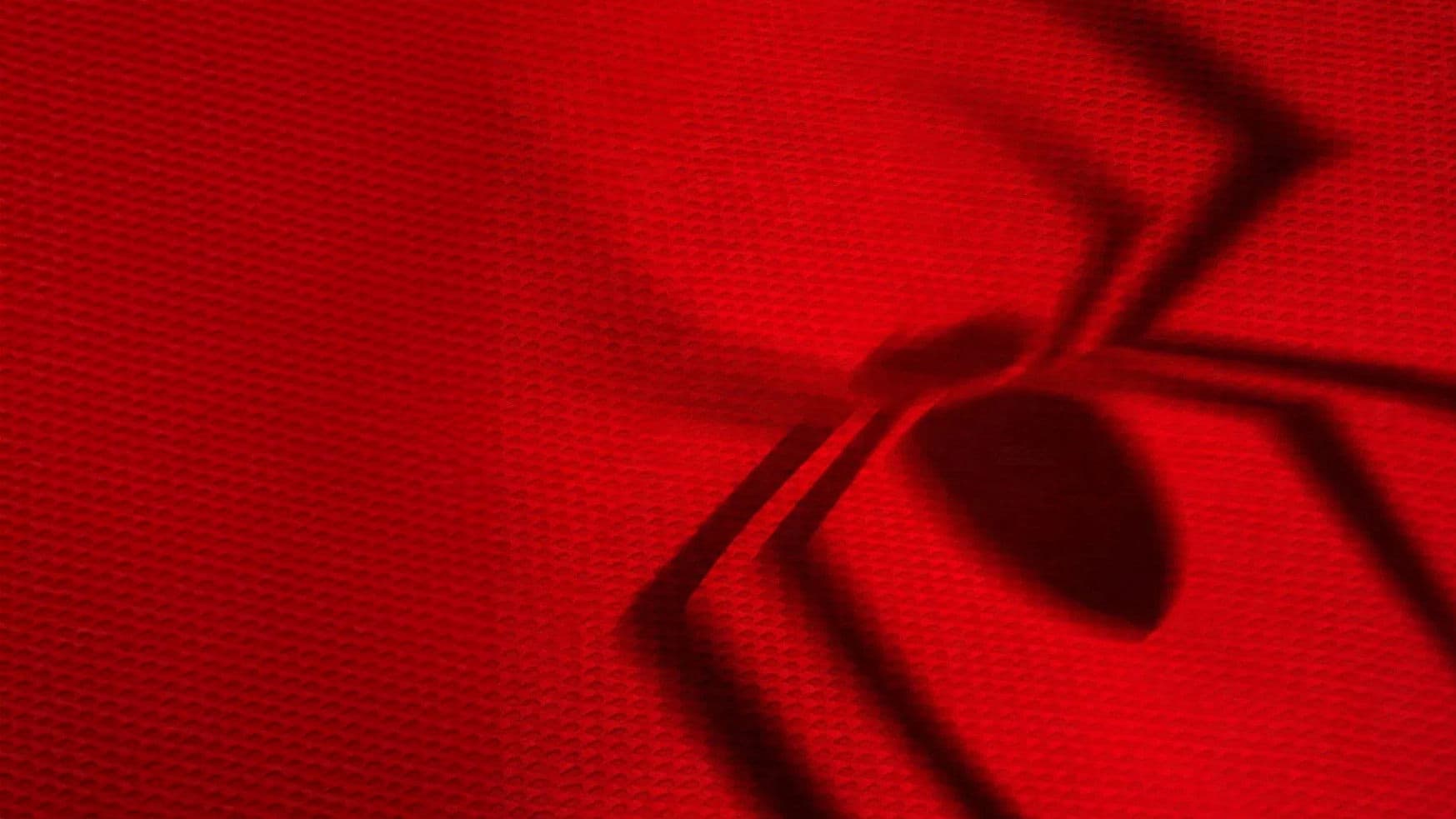 스파이더맨: 브랜드 뉴 데이