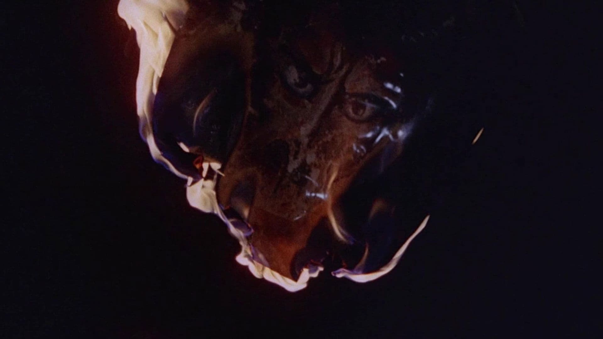 더 데드 아 얼라이브