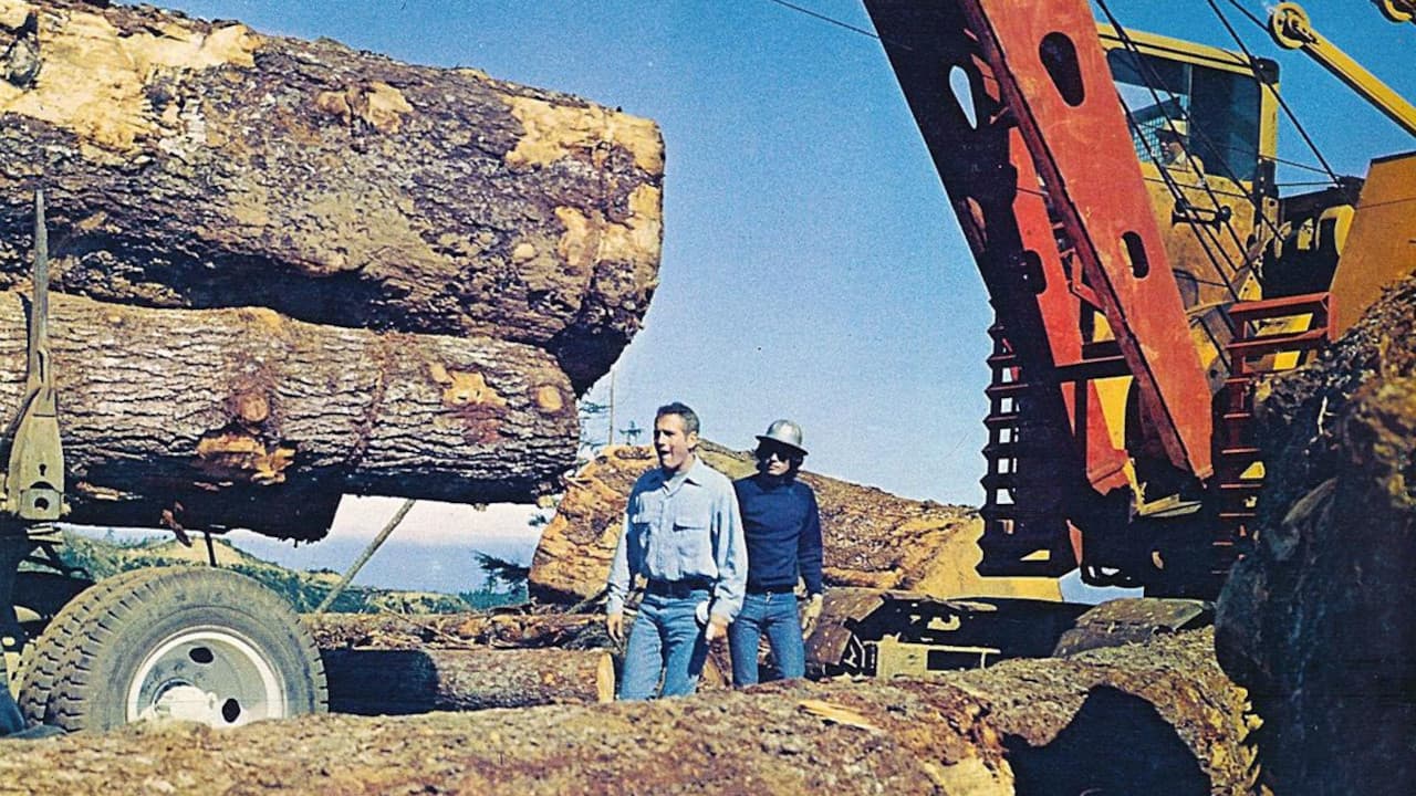 스탬퍼가의 대결