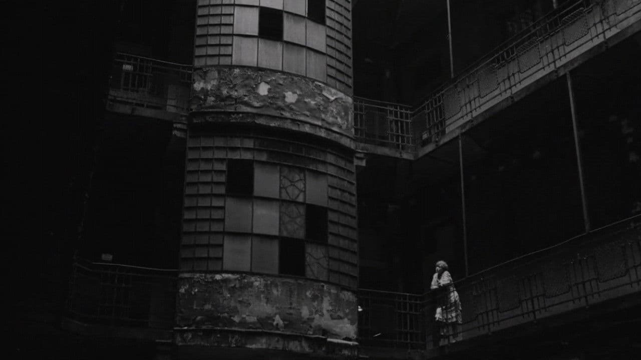 콘스탄티노플에서 온 여인