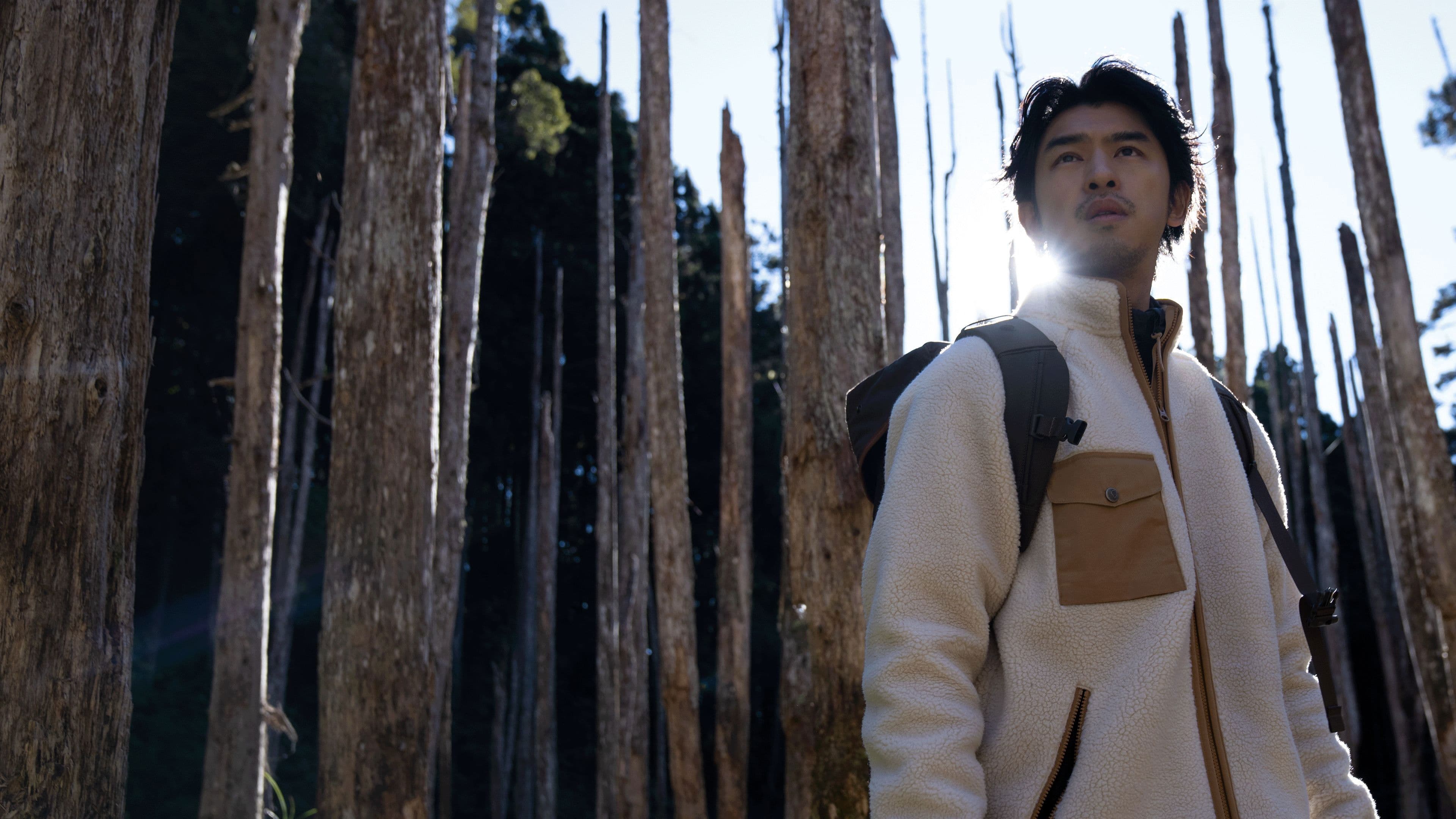 극한의 숲속으로