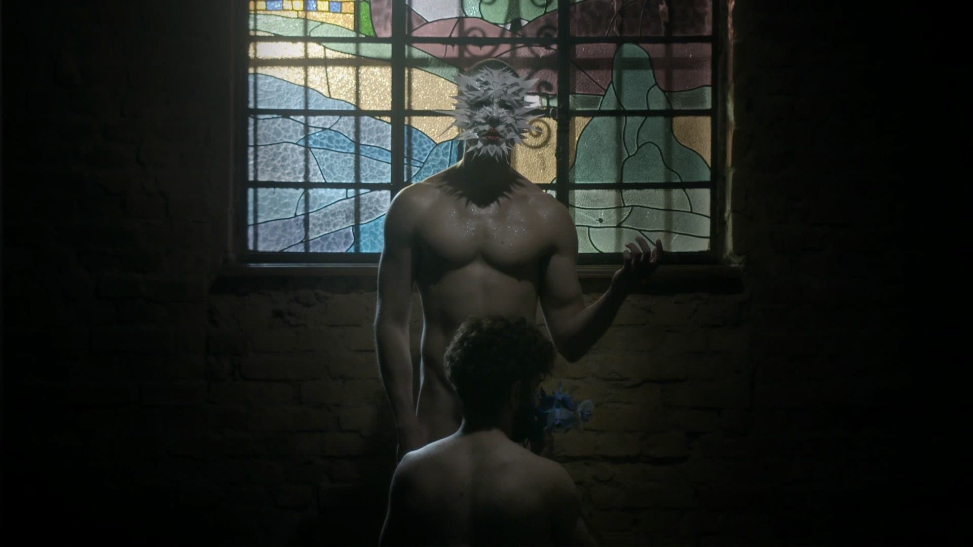 더 블루 플라워 오브 노발리스