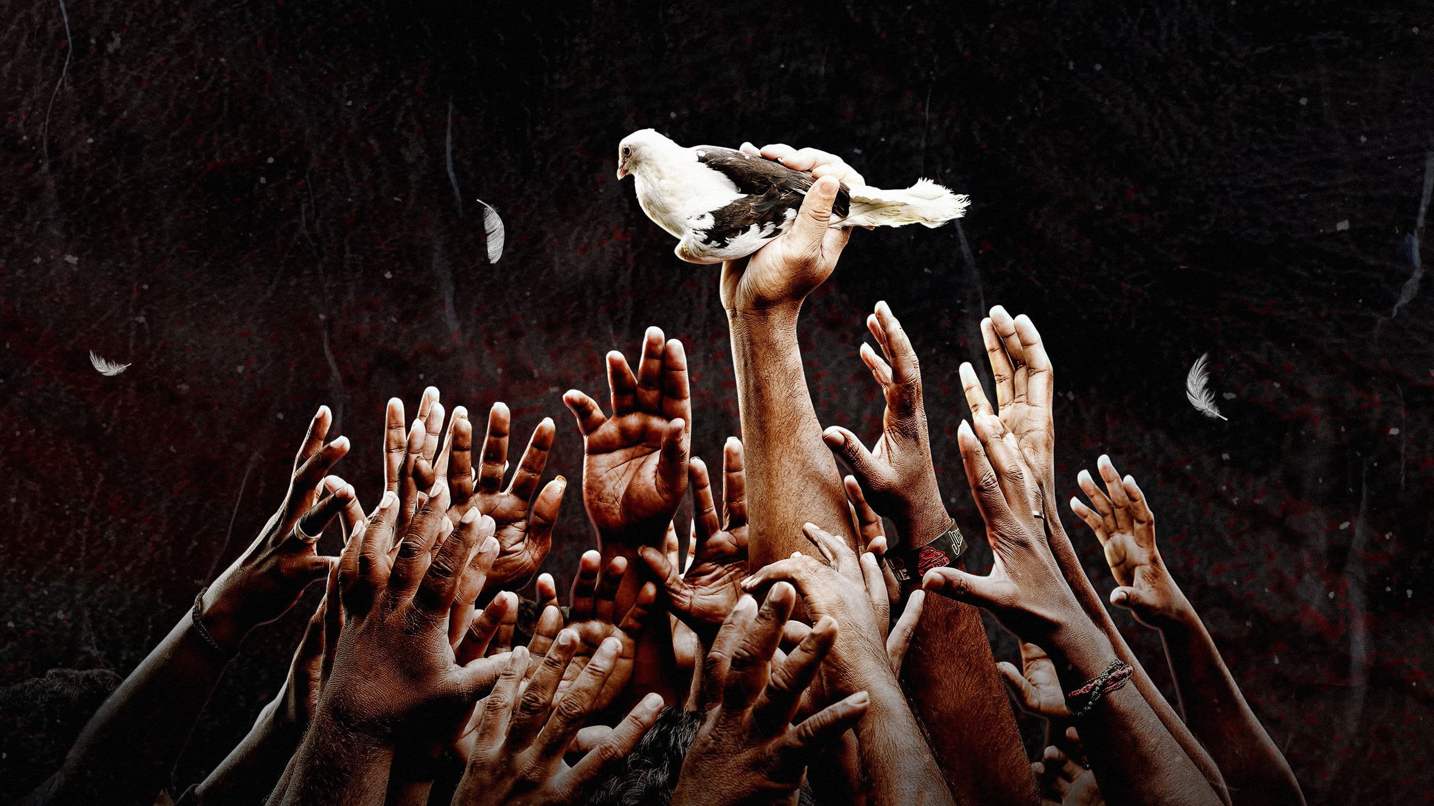 பைரி: பாகம் 1