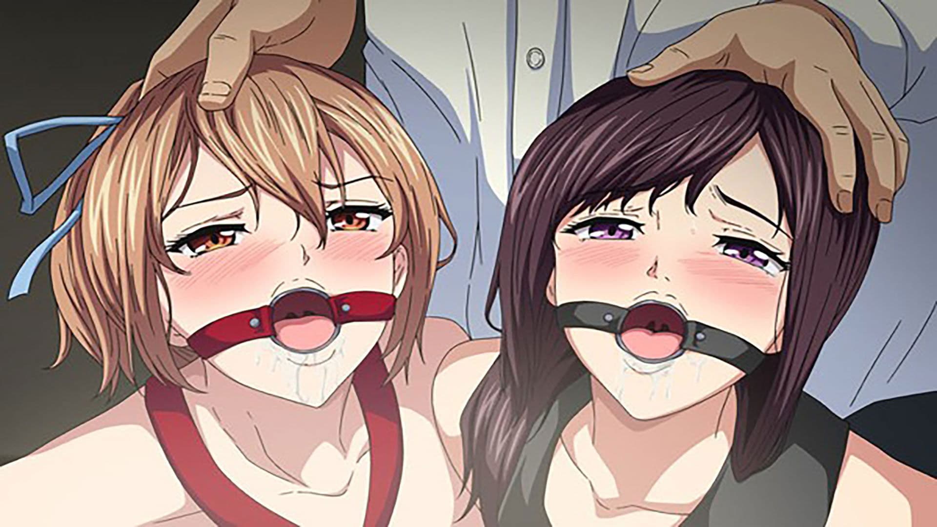 사쿠라미야 자매 네토라레 기록