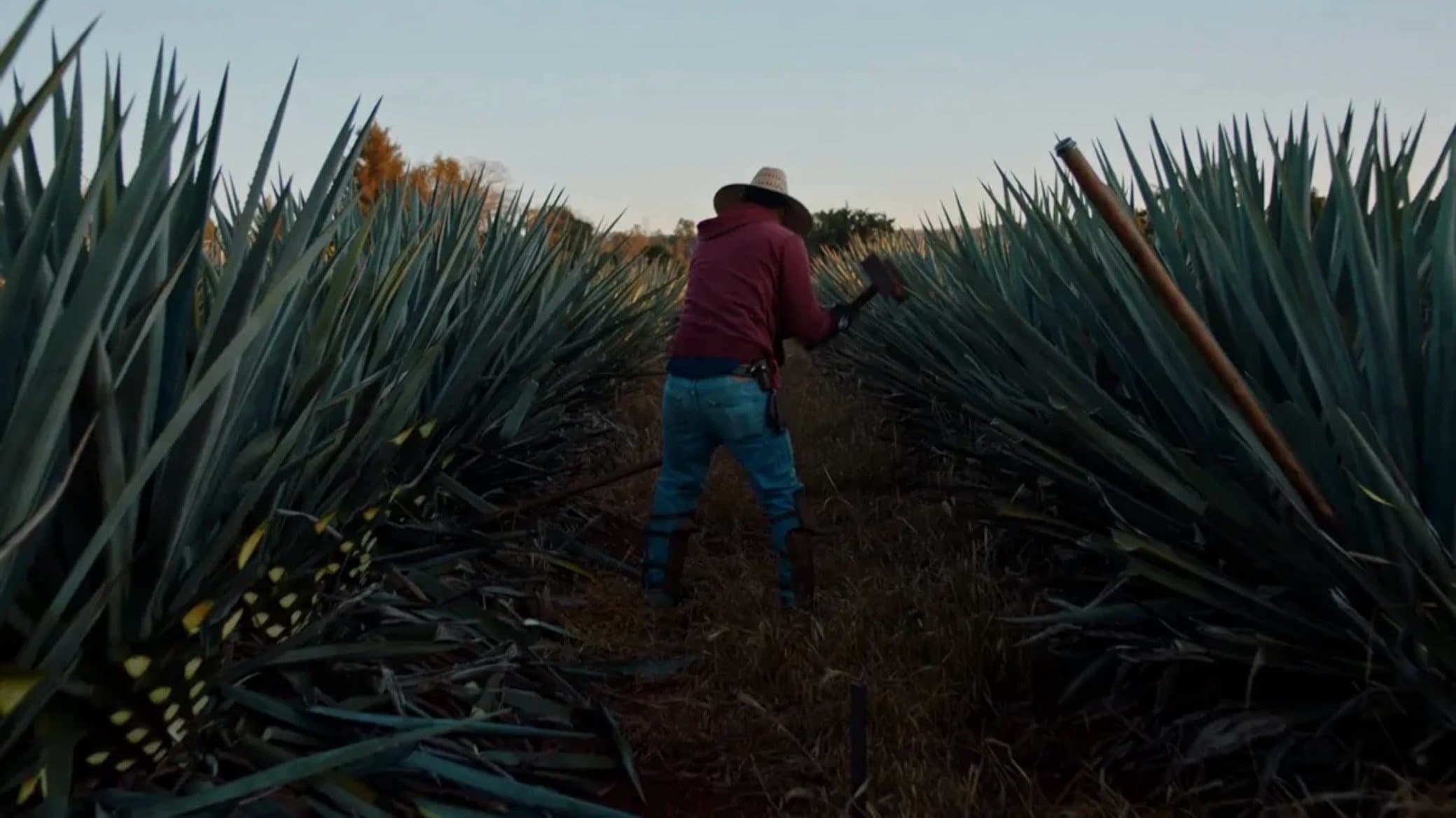 도스 에스타시오네스