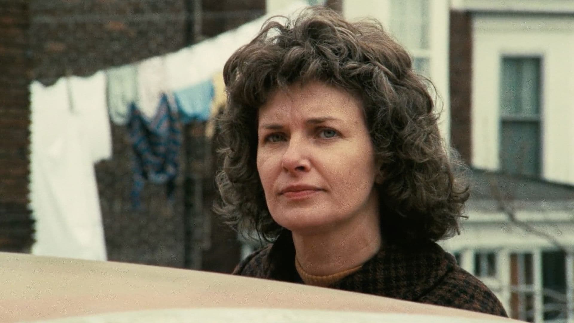 감마선은 금잔화에 어떤 영향을 끼쳤나?