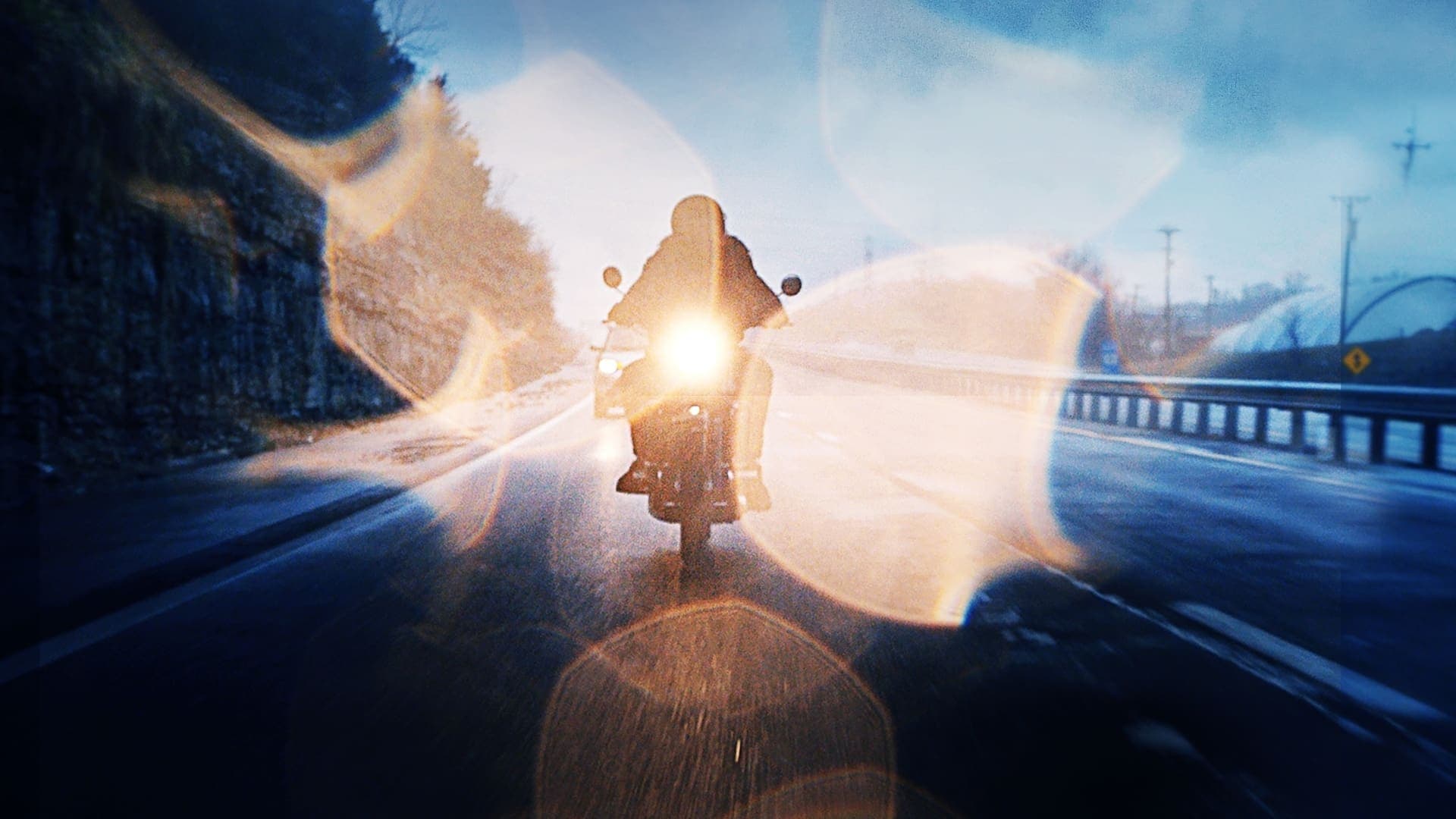 바이올런트 러브