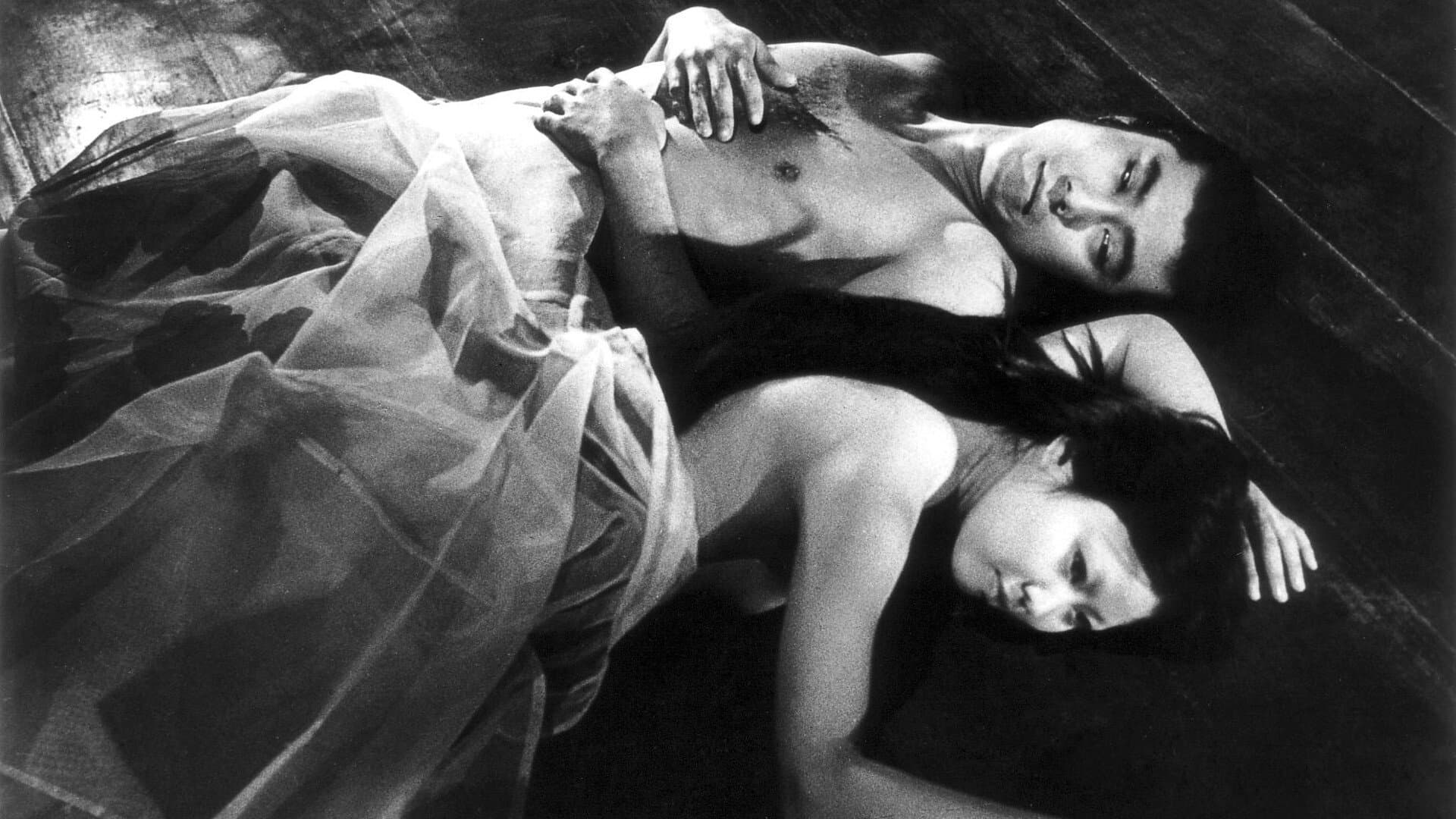 수풀 속의 검은 고양이