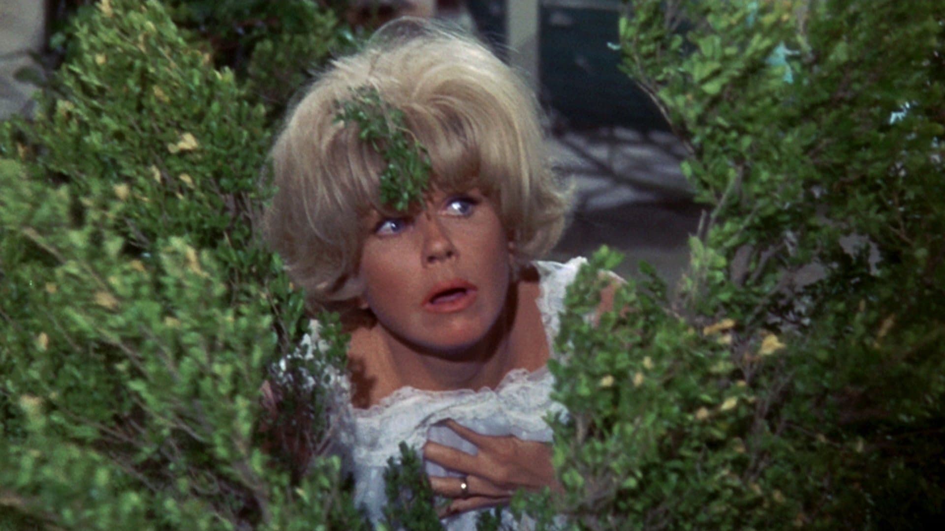 러브 앤 플라워스