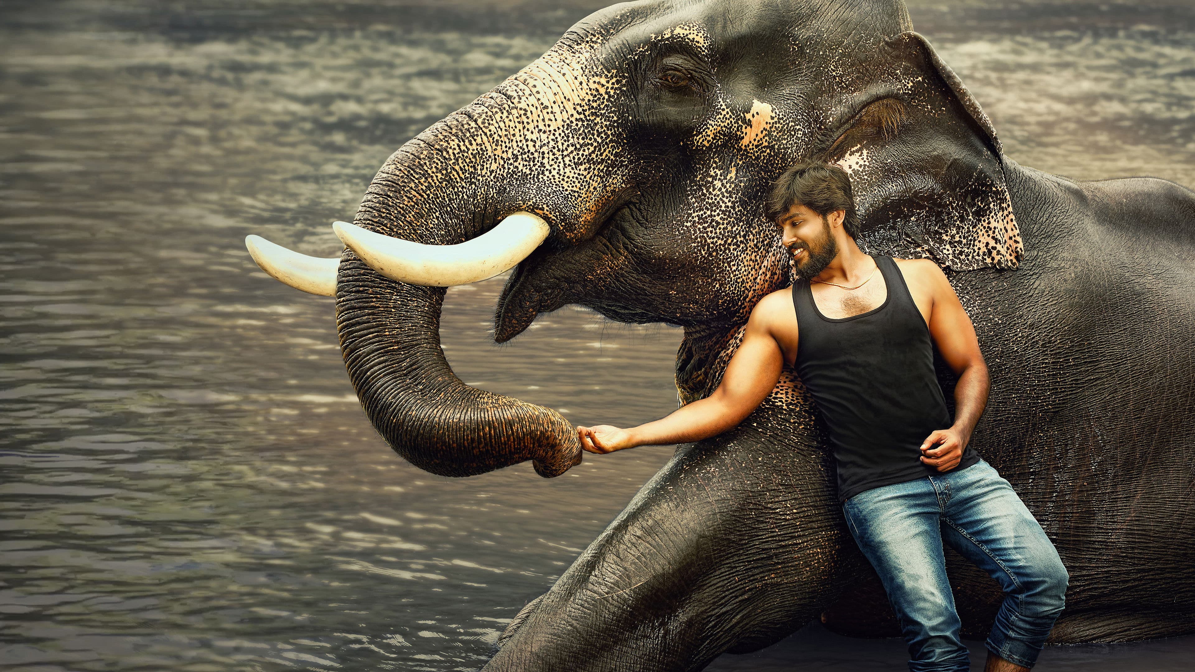 ராஜபீமா