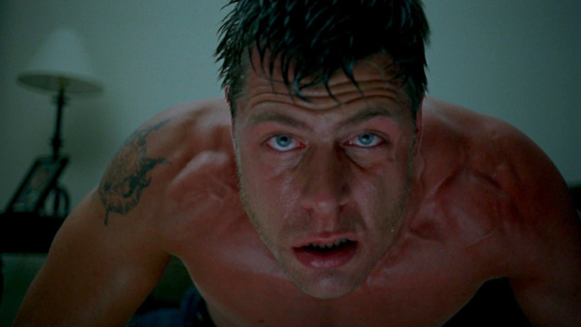 머더-셋-피시즈